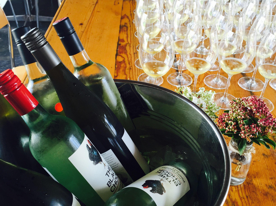 Wine Diva Tours景点图片