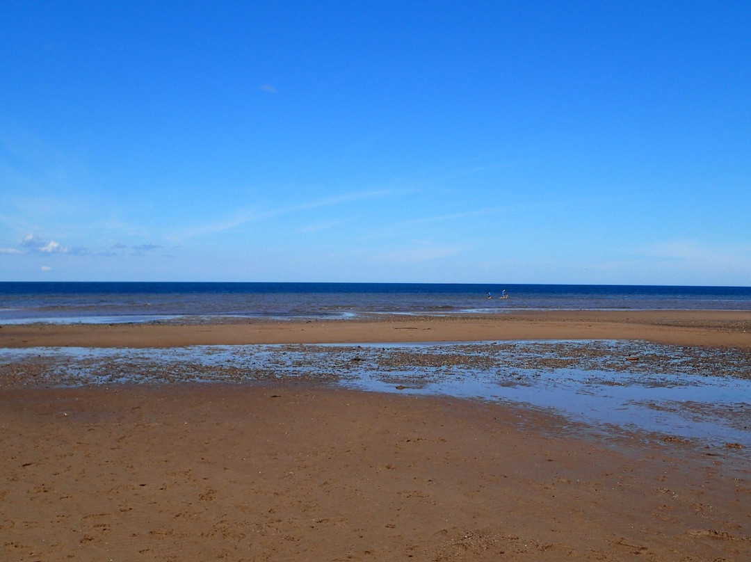 Rushtons Beach Provincial Park-Marshville必去景点