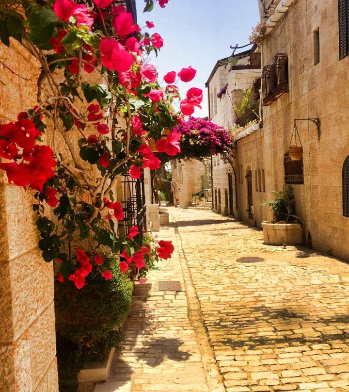 Dafna Koren Cohen - Private Tour Guide-雷霍沃特必去景点