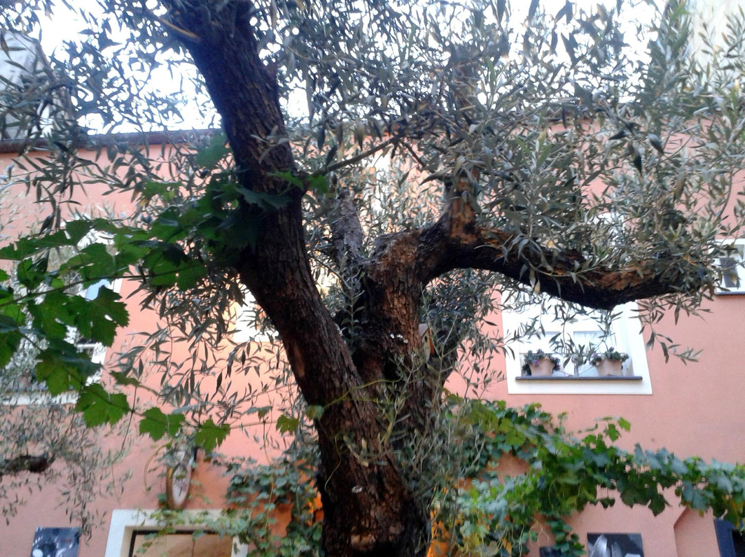 La Dimora del Conte Bracco B.