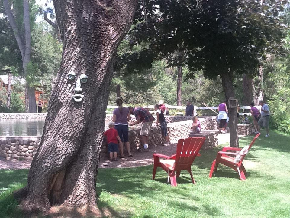 Rancho Tonto Catch-A-Trout-Payson必去景点