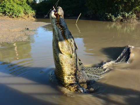 Offroad Dreaming-达尔文市必去景点