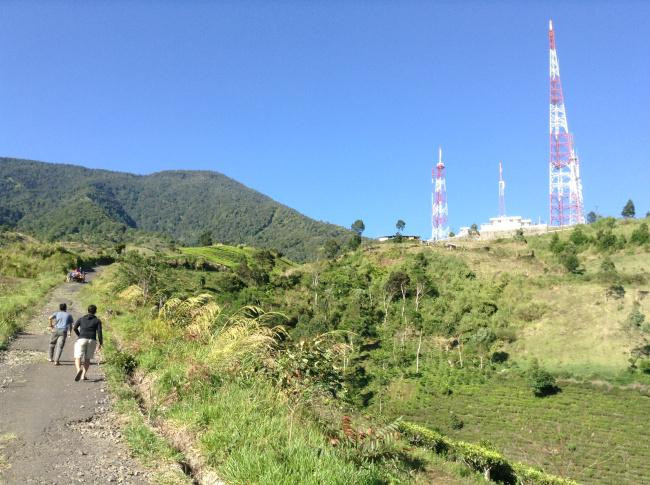 Mount Cikuray景点图片