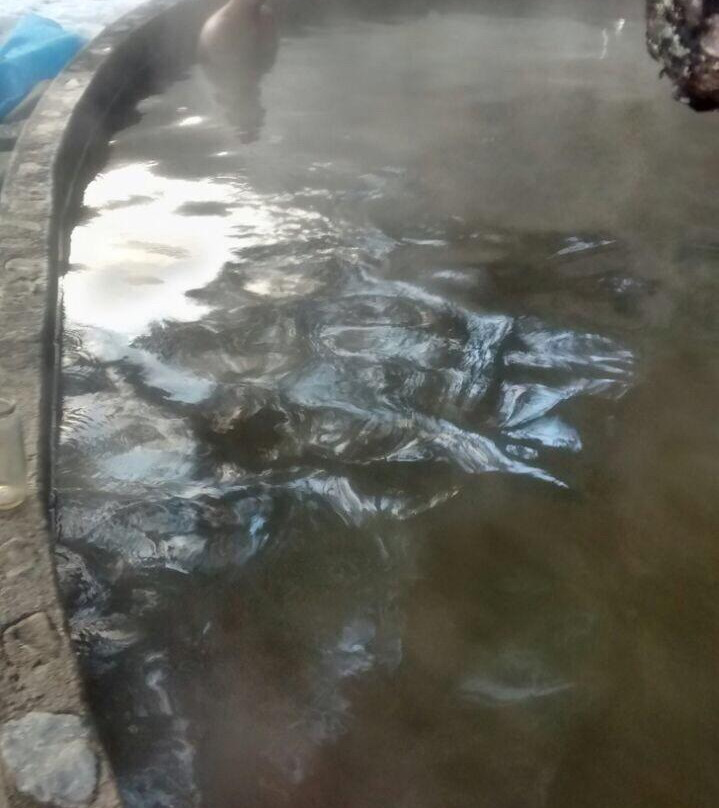 Termas Canon del Blanco-Curacautin必去景点