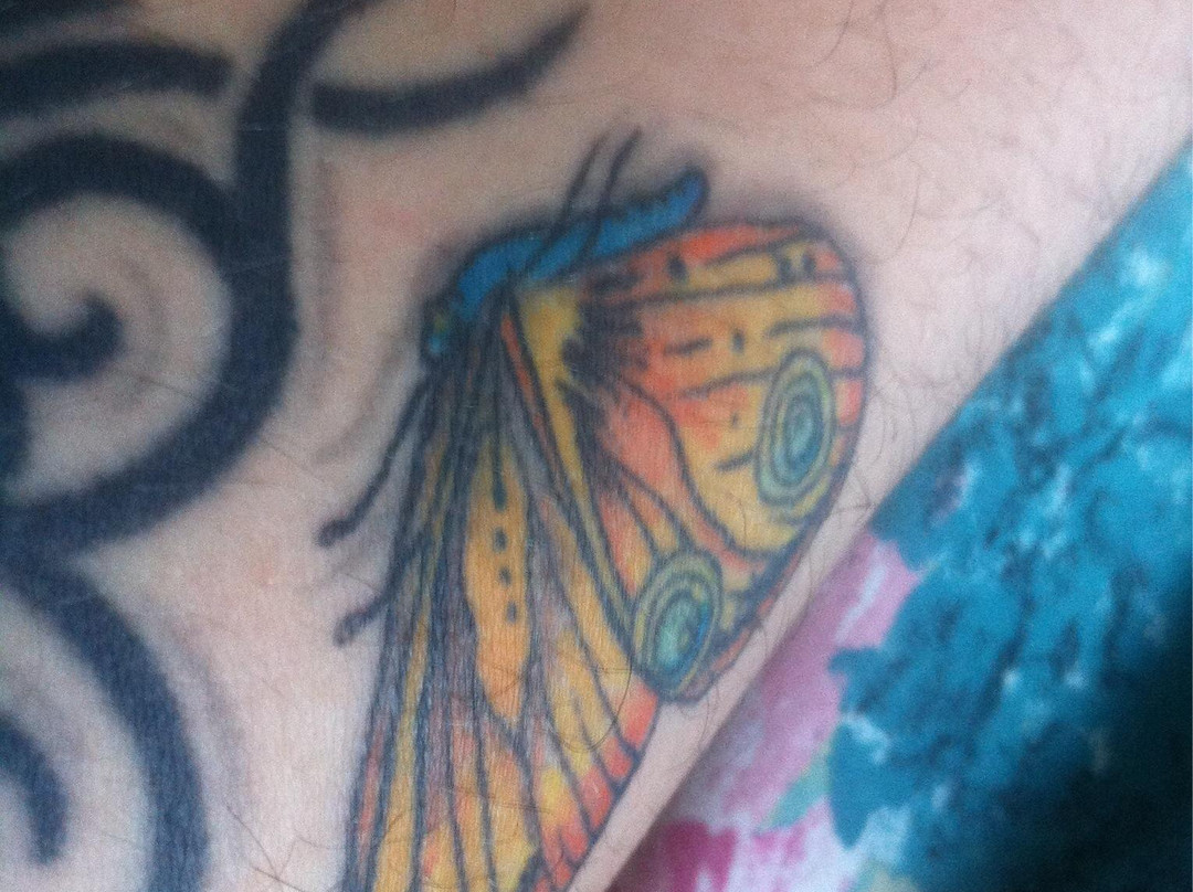 Triangle Tattoo and Museum景点图片