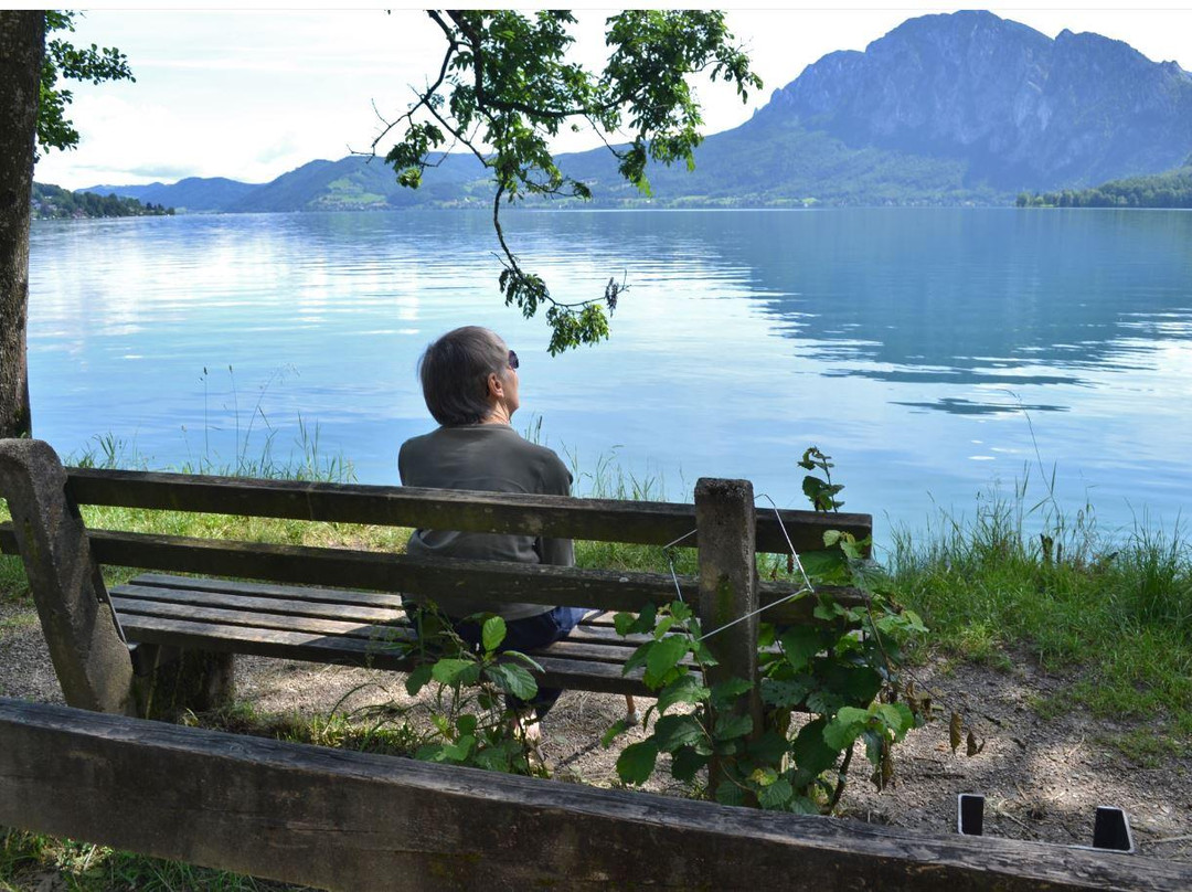 Tauchbasis Austrian Divers-阿特湖畔翁特拉赫必去景点