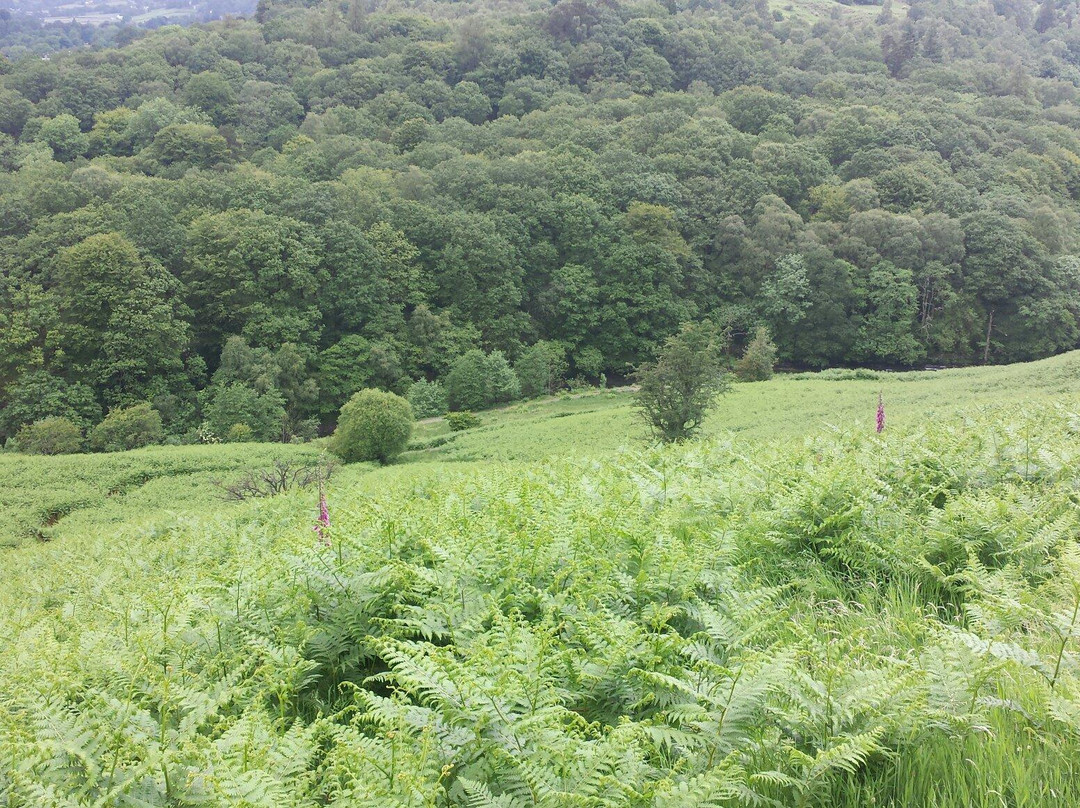 Lake Grasmere-Grasmere必去景点