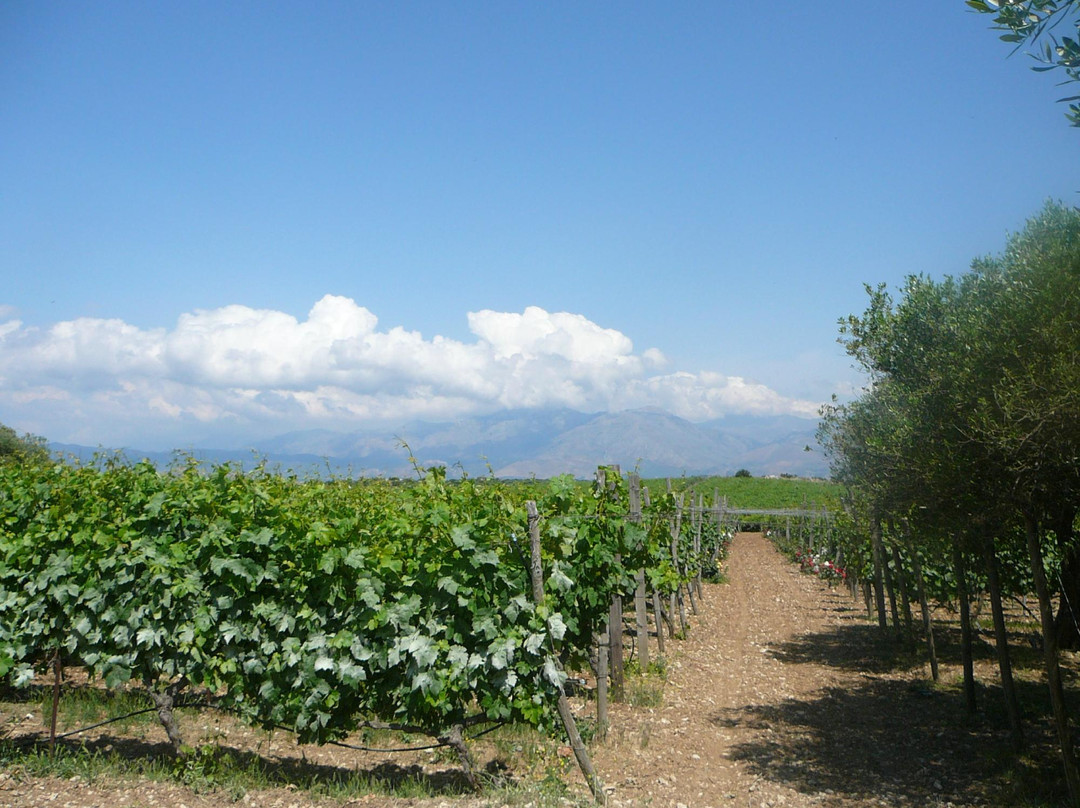 Lyrarakis Winery景点图片