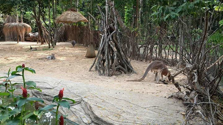 Ubon Zoo景点图片