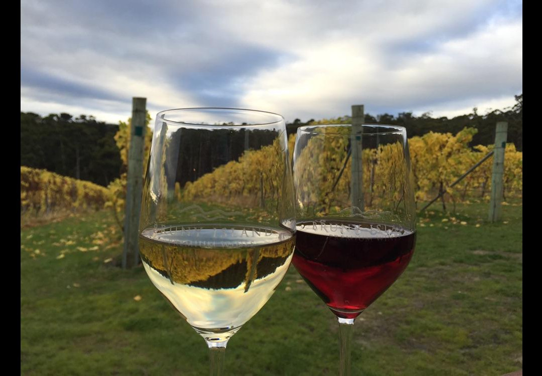 Bruny Island Premium Wines景点图片