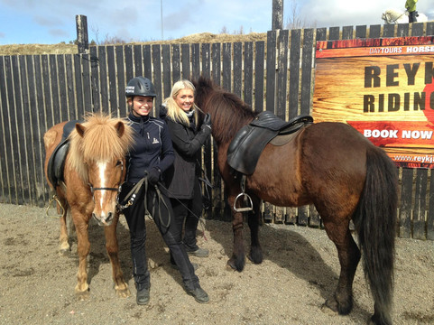 Reykjavik Riding Center-雷克雅未克必去景点
