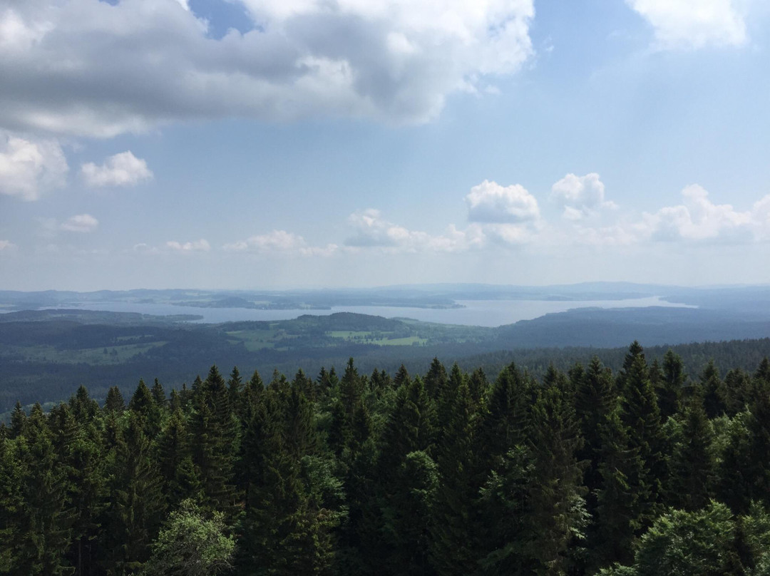 Aussichtsturm Moldaublick-Ulrichsberg必去景点