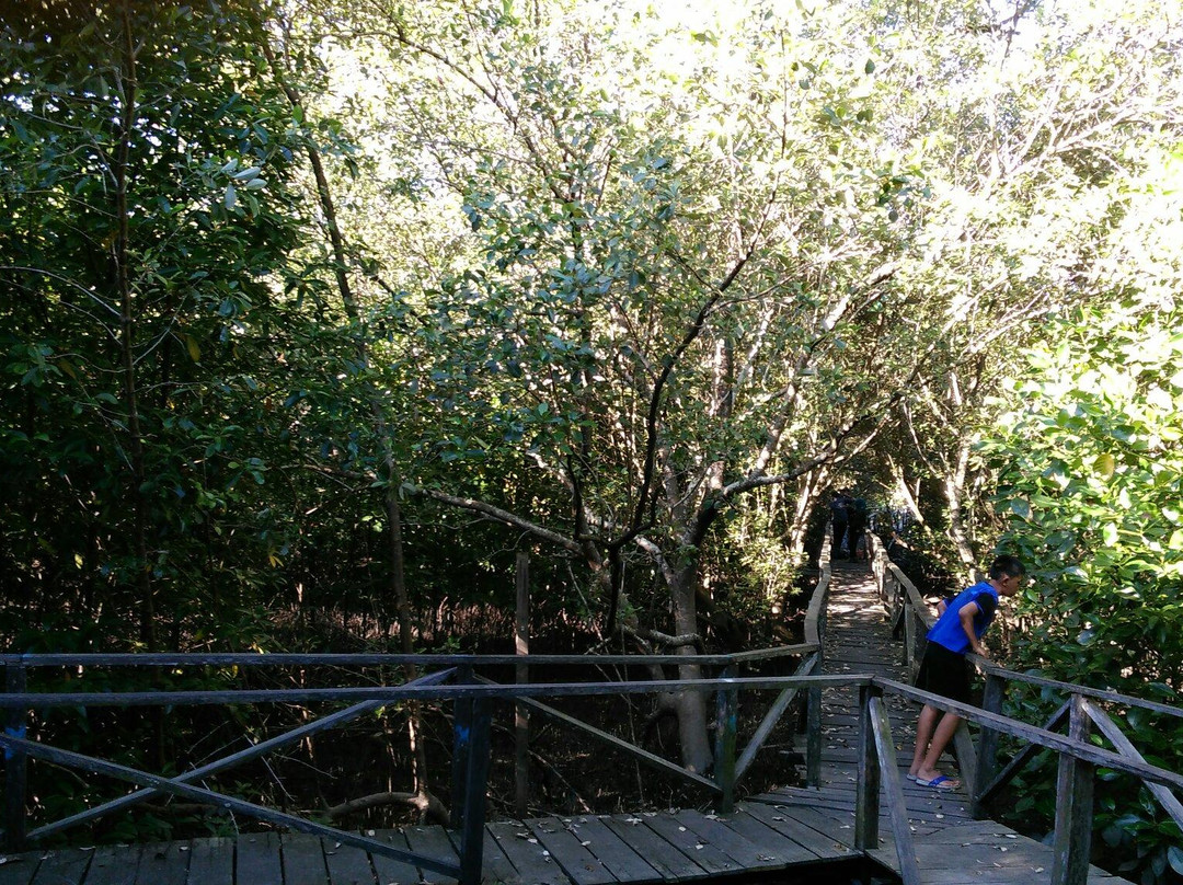 Margomulyo Mangrove Forest-巴厘巴板必去景点
