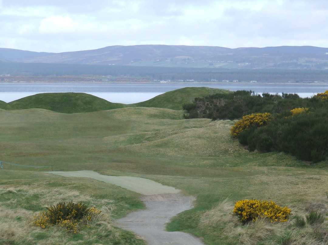 Tain Golf Club-Tain必去景点