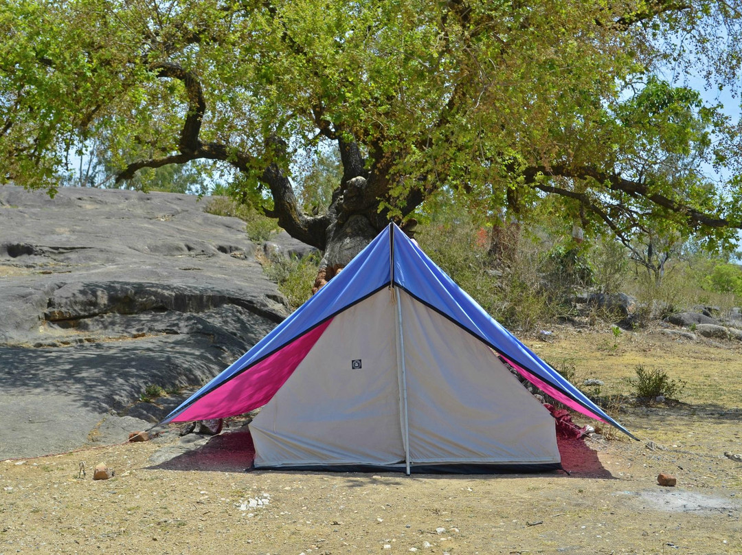 Mount Abu Adventures - Camping & Trekking景点图片