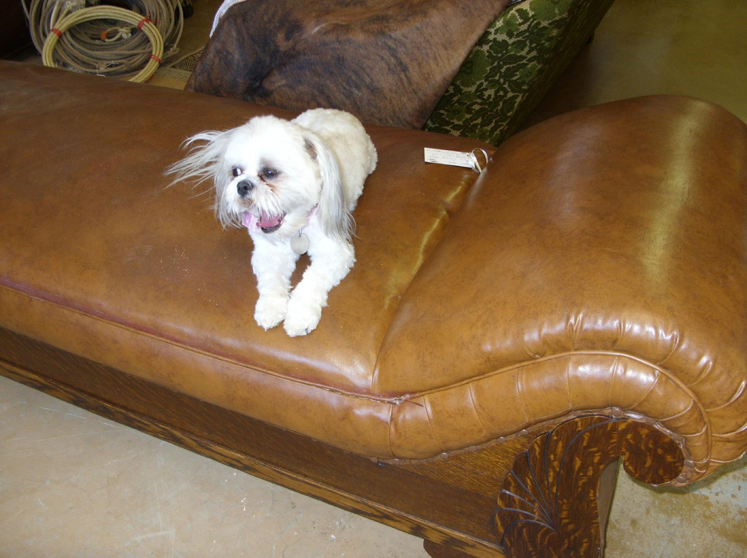 Tombstone Mercantile-墓碑镇必去景点