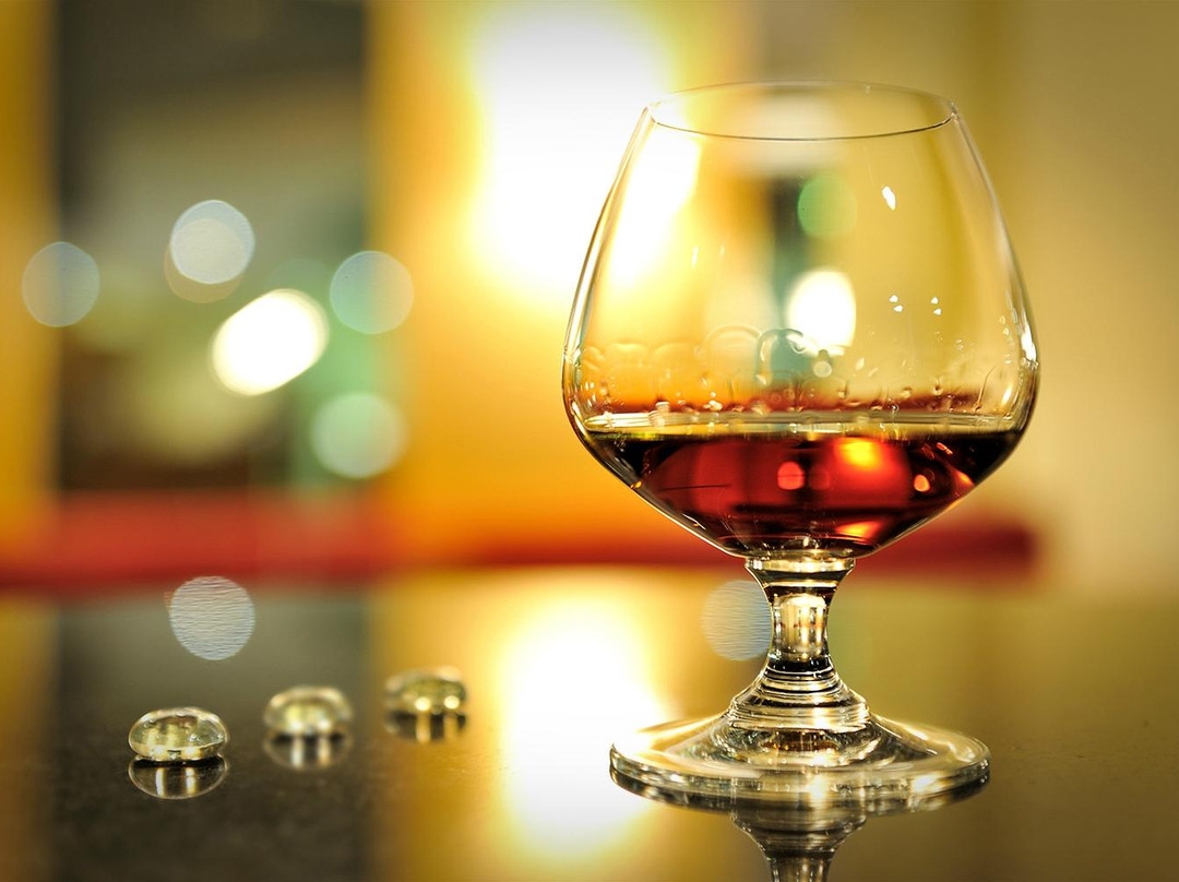 Concorde Hotel am Flugplatz主图