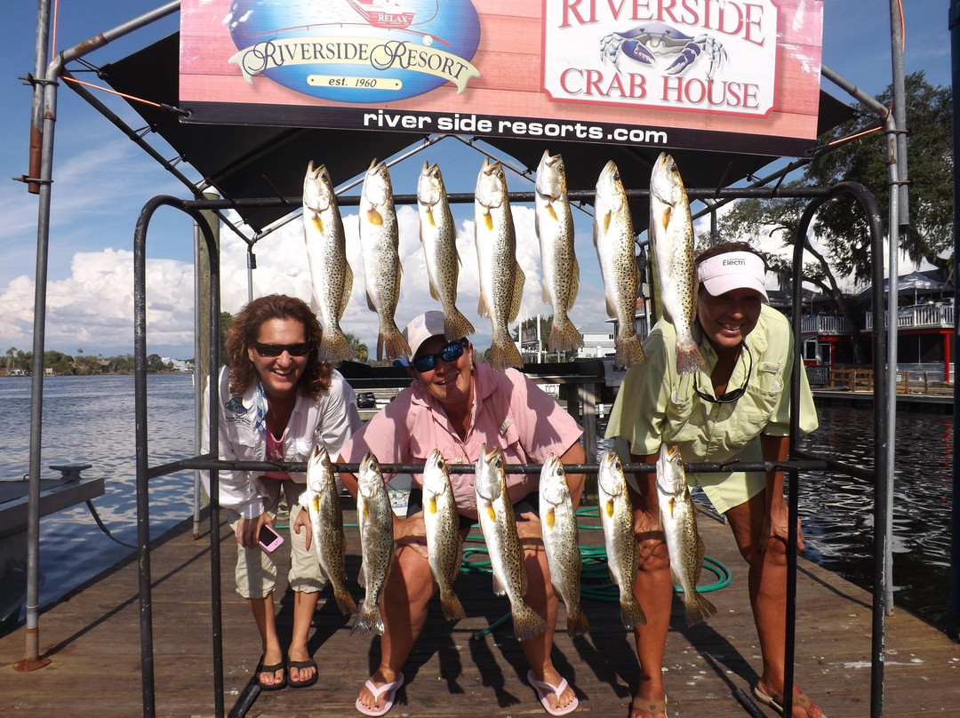Grouper Hunter Flats Chance Charters-Homosassa必去景点