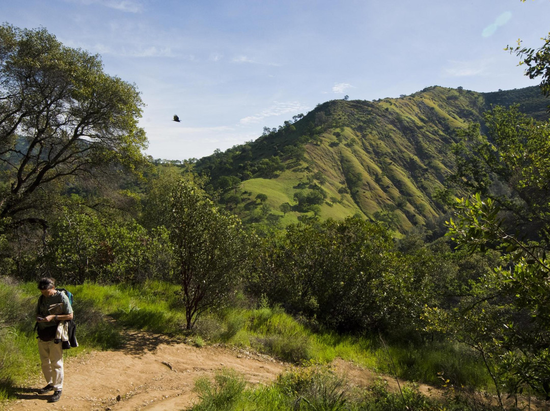 Stebbins Cold Canyon Reserve-Winters必去景点