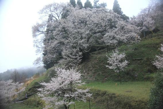 Butsuryuji Temple景点图片