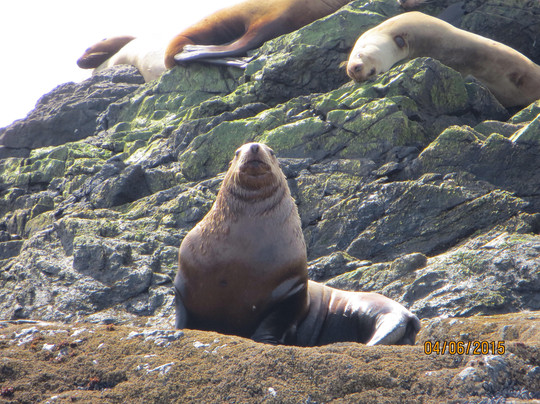 The Marine Adventure Centre-托菲诺必去景点