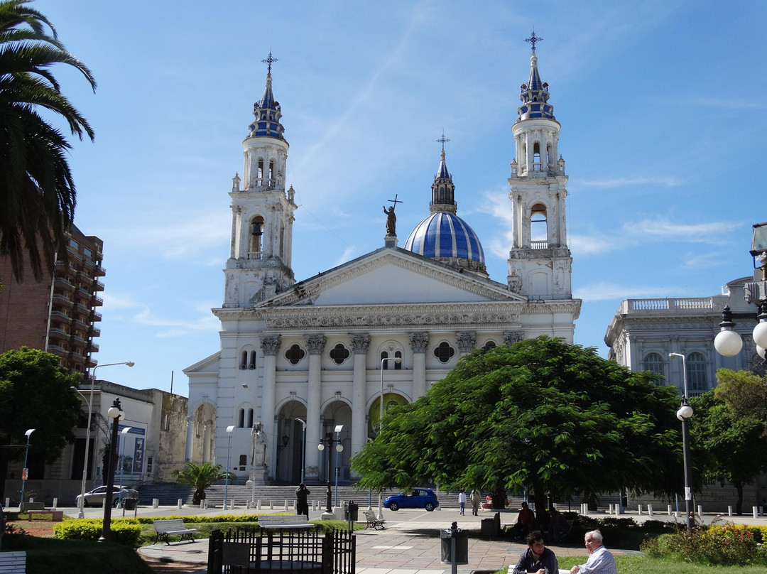 Catedral de Parana景点图片