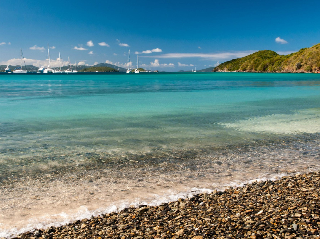 Francis Bay Trail-维尔京群岛国家公园必去景点