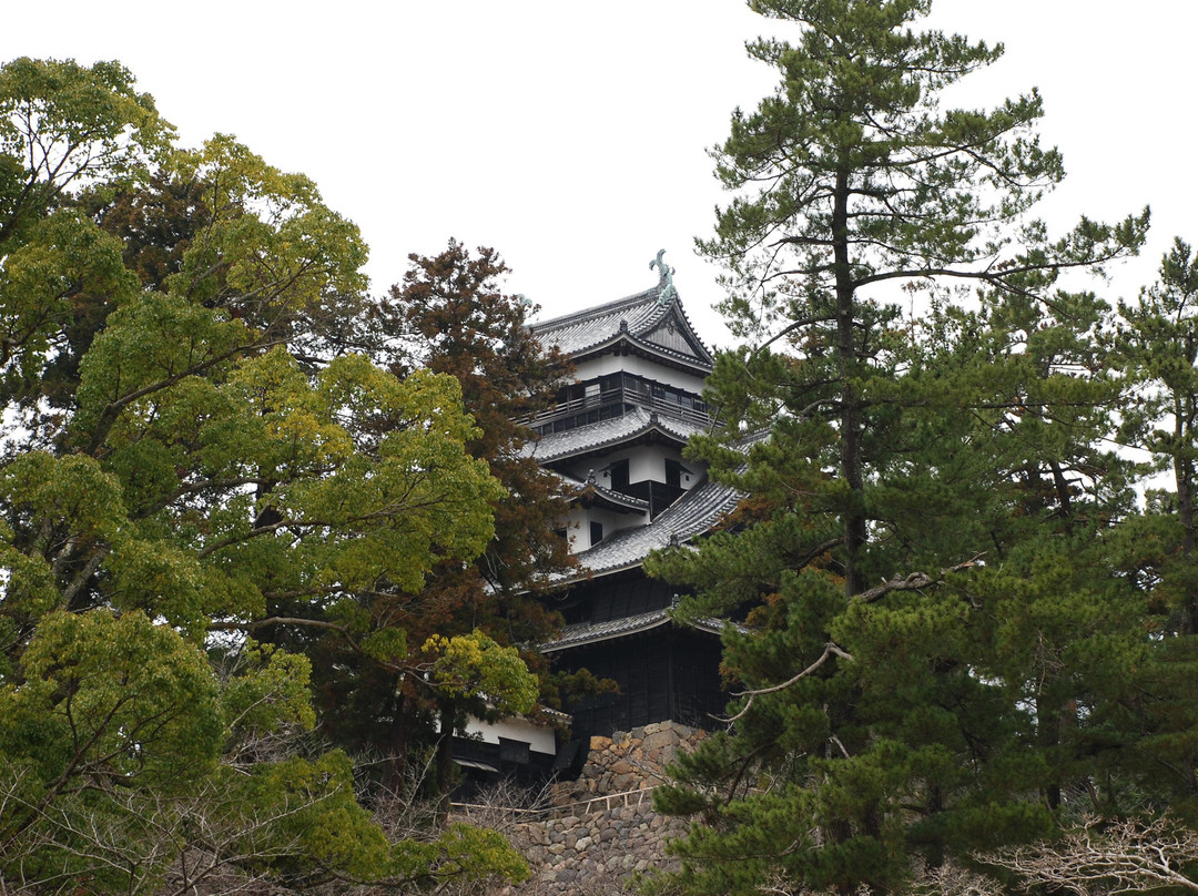 松江城山公園-松江市必去景点