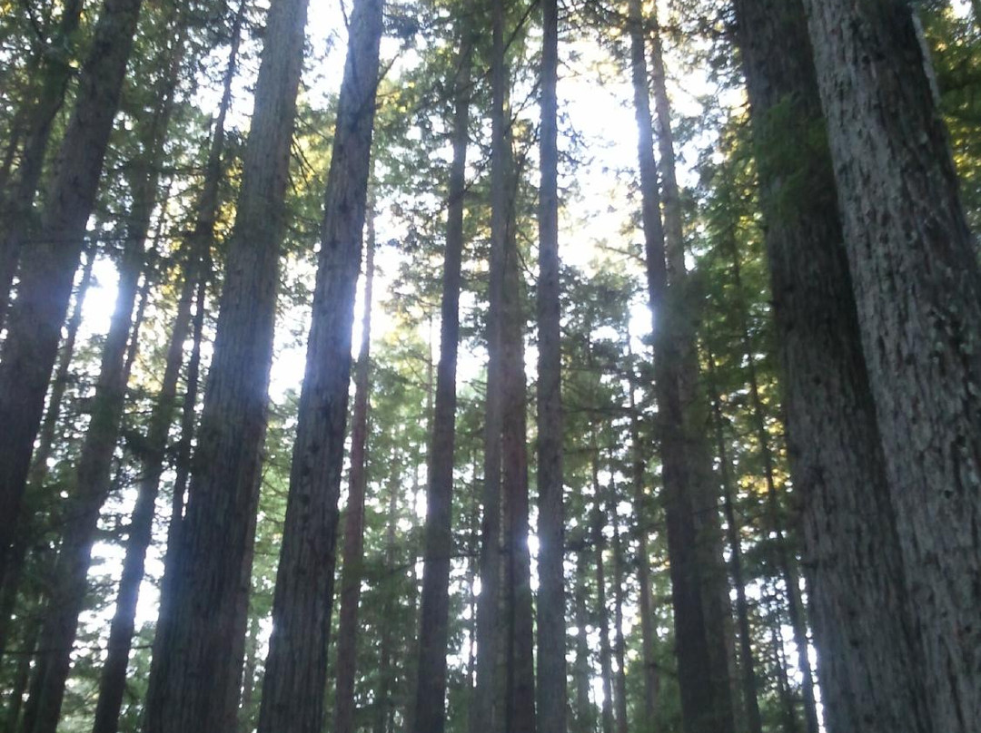 Florence Keller County Park & Campground景点图片
