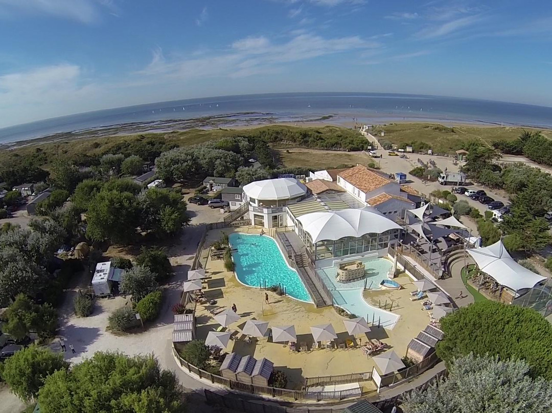 Sandaya Interlude主图