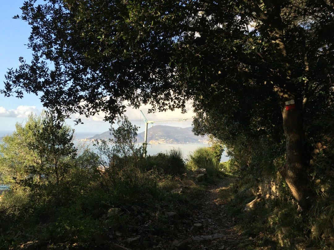 Cinque Terre Bike景点图片