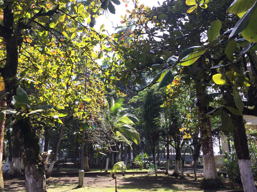 Vargas Park景点图片