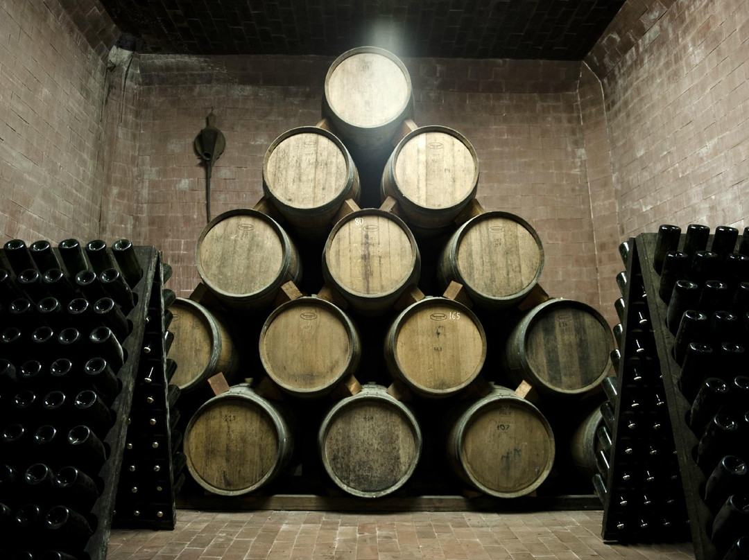 Gavioli Antica Cantina景点图片