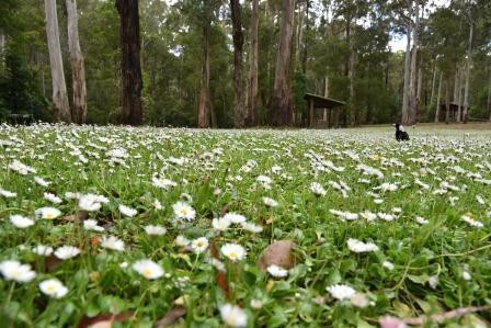 Geelong Adventure Specialists-季隆必去景点