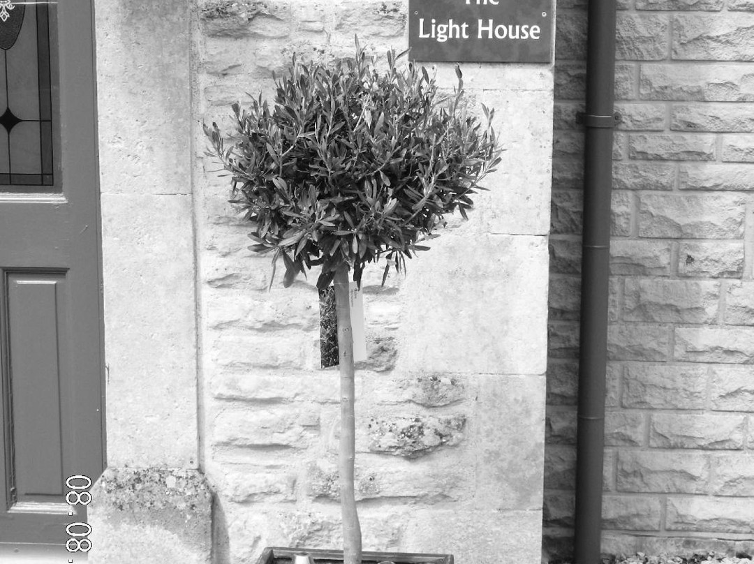 The Light House Bed and Breakfast主图