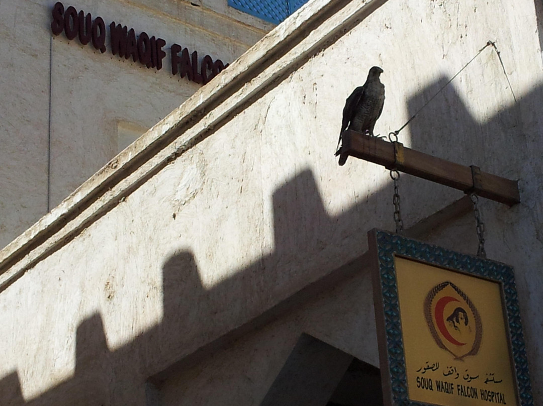 Souq Waqif Falcon Hospital-多哈必去景点