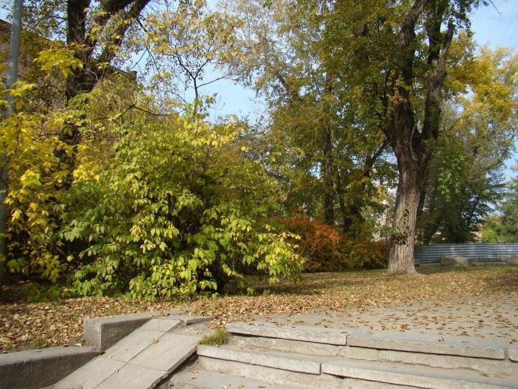 Vayner's Garden景点图片