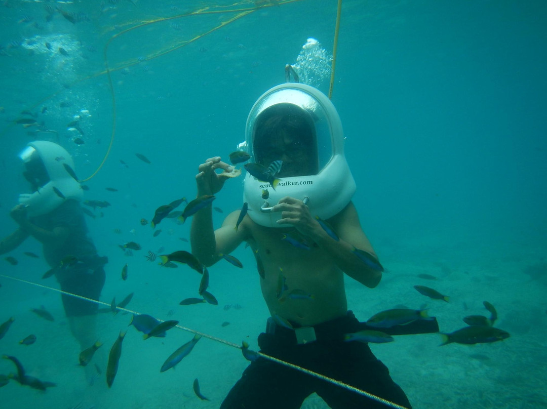 Scuba Walker-热浪岛必去景点