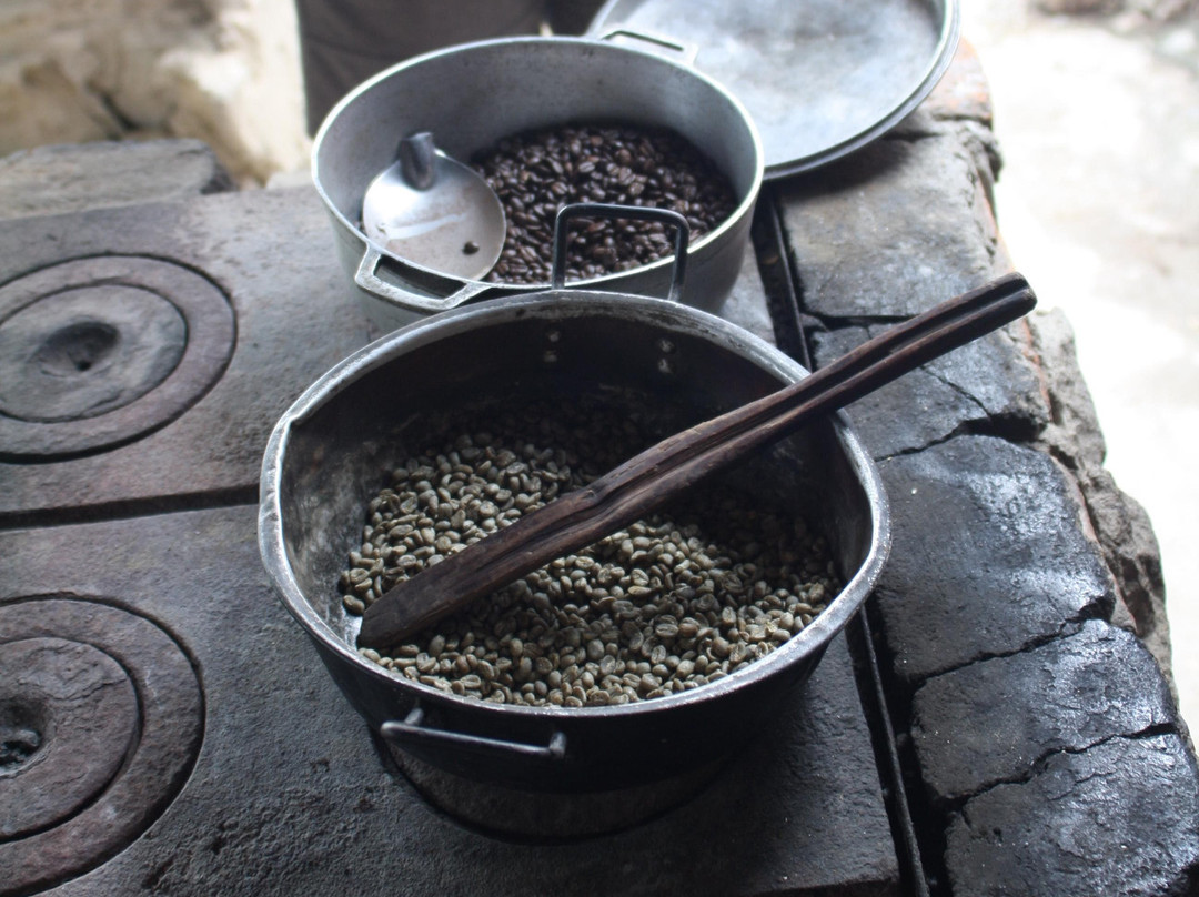 Finca Cafetera Don Elias景点图片