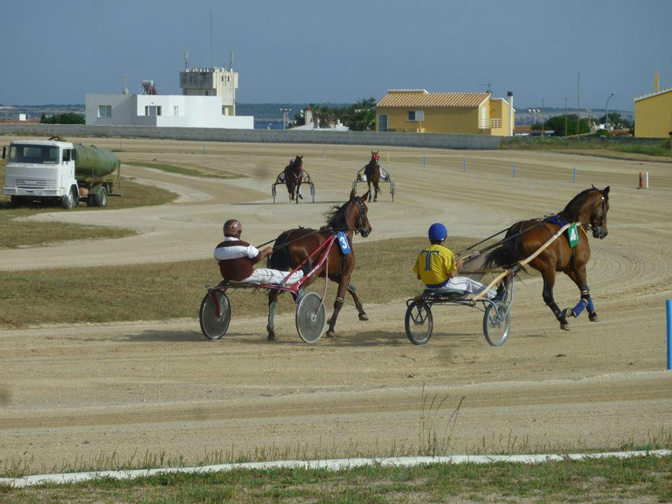 Hipódromo Torre Del Ram-米诺卡必去景点