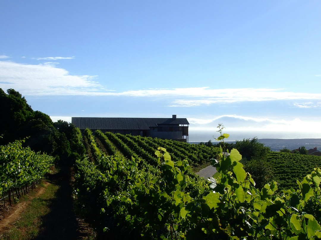 Uva Mira Mountain Vineyards-斯泰伦博斯必去景点