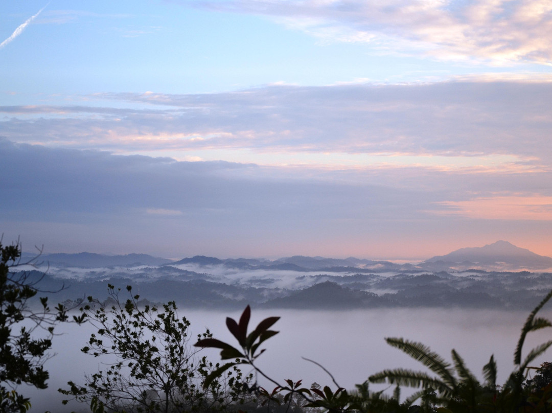 Bukit Panorama-Sungai Lembing必去景点