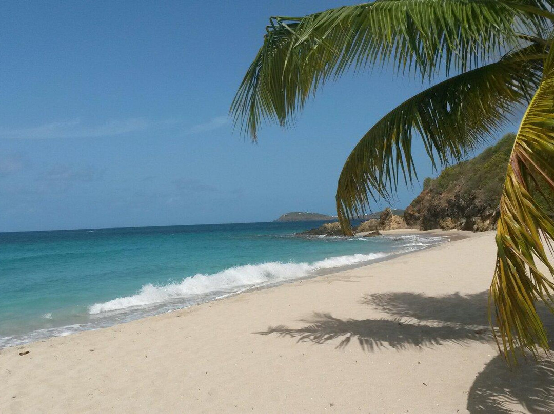 Limetree Beach-South Coast必去景点