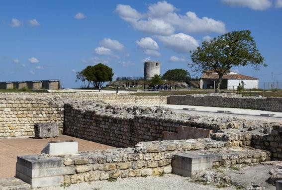 Musée et Site gallo-Romains du Fâ景点图片