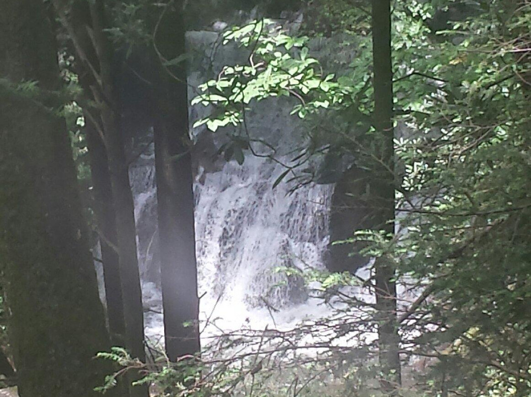 Dukes Creek Falls Trail-海伦必去景点