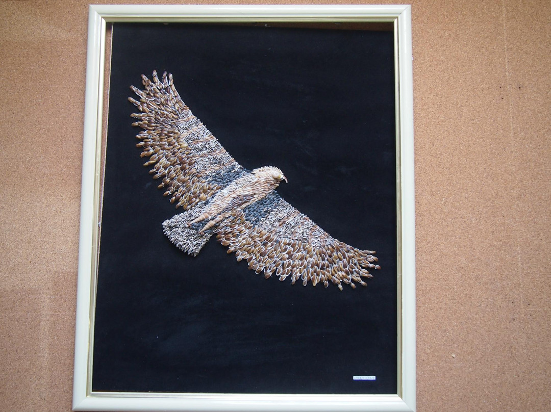 Musee des Coquillages-圣让卡弗尔拉必去景点