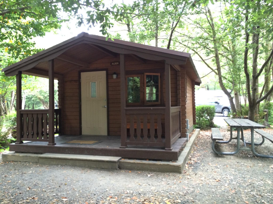 Alfred A Loeb State Park-布鲁金斯必去景点