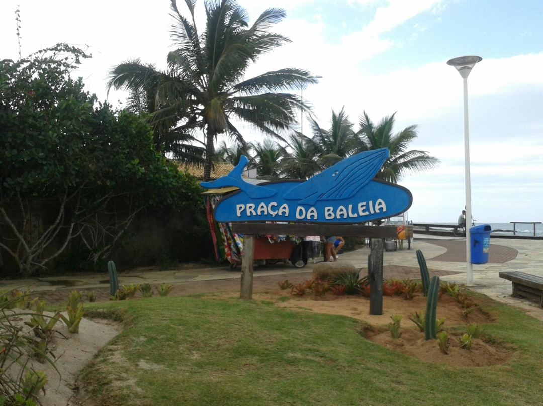 Mirante da Praca da Baleia景点图片