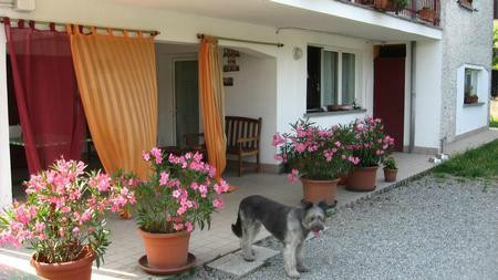 Triuggio酒店住宿-B&b Le Dune