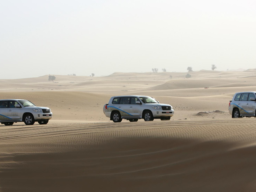 Hala Abu Dhabi - Private Day Tours景点图片